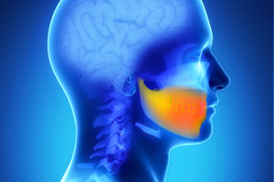 stem cells from teeth to repair jaw bone